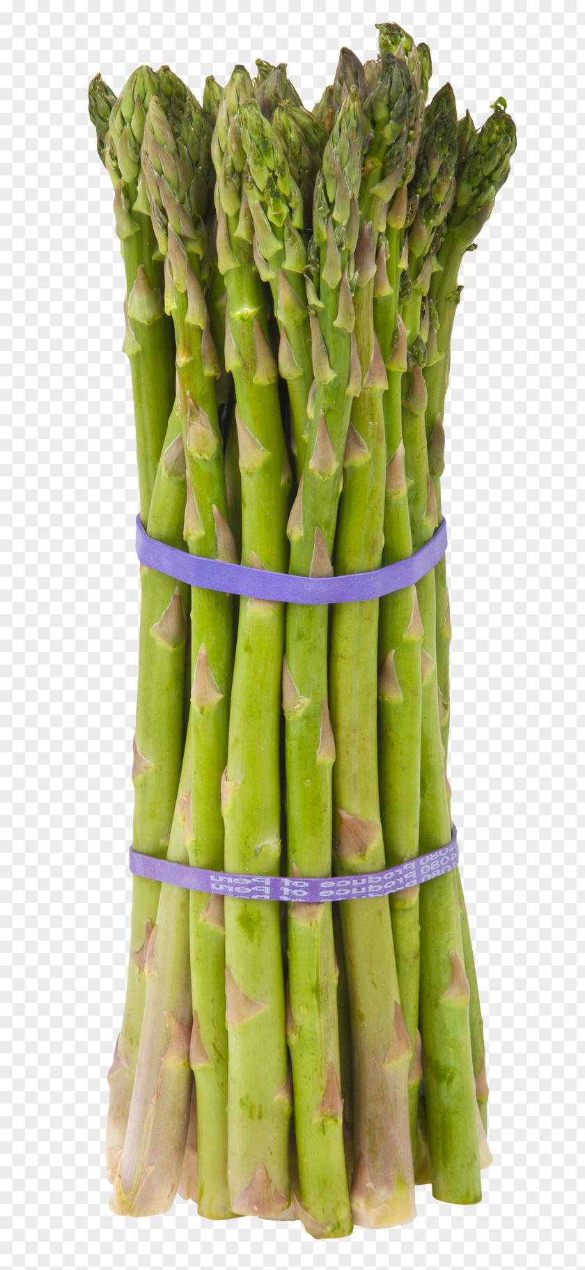 Asparagus Cream Of Soup Vegetable Cooking Eating PNG