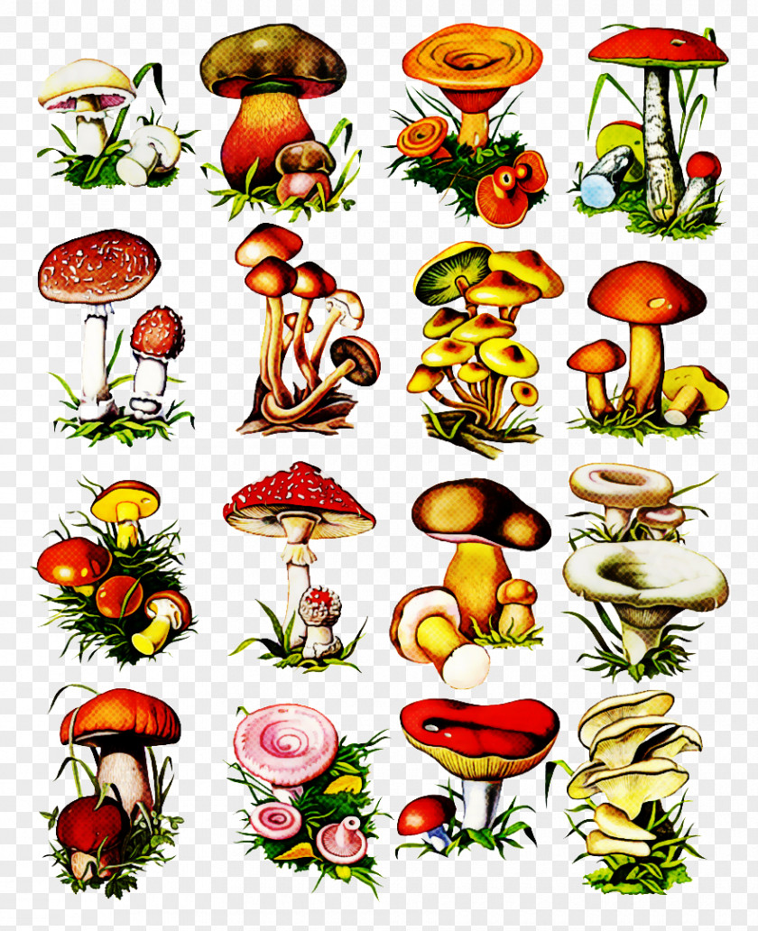 Mushroom Plant PNG