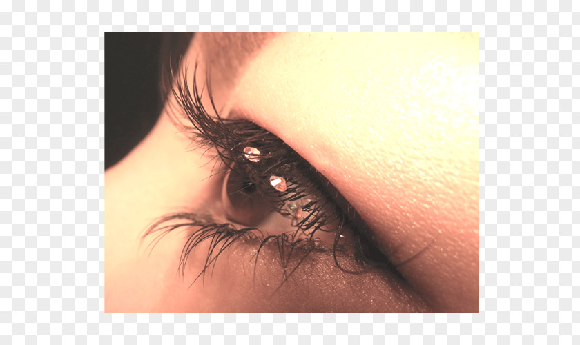 Optical Shop Eyelash Extensions Artificial Hair Integrations Eye Liner Mascara PNG