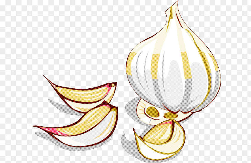 Plant Garlic Allium PNG