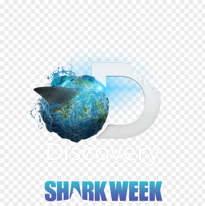 Shark Discovery Channel Logo Lokai PNG