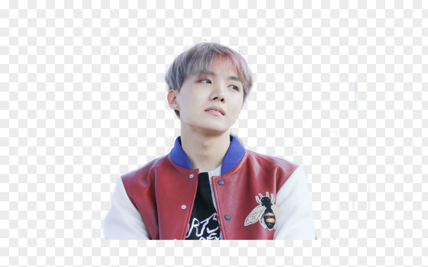 Wings J-Hope 2017 BTS Live Trilogy Episode III: The Tour Spring Day PNG