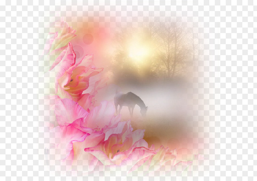 Mask Health Horse Desktop Wallpaper Unicorn PNG