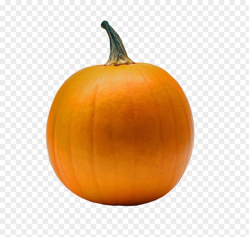 Pumpkin Gourd Winter Squash PNG