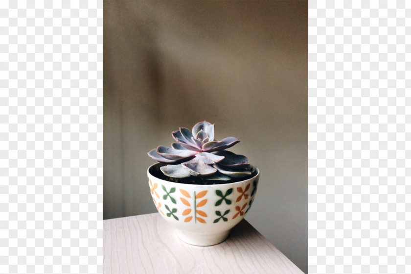 Vase Saucer Porcelain Pottery Cup PNG