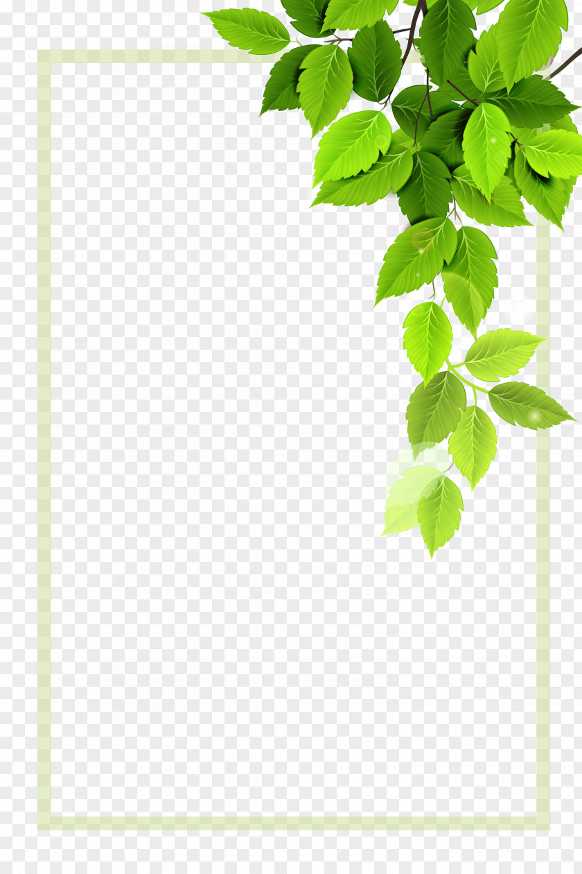 Vector Green Plant Borders PNG