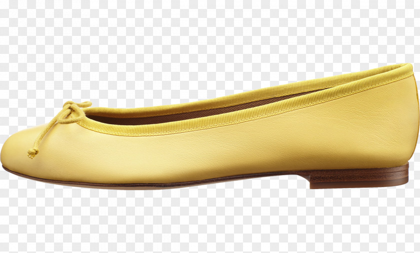 Ballet Flat PNG