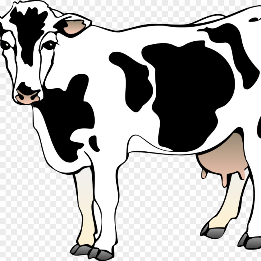 Cartoon Drawing Wallpaper Beef Cattle Clip Art Openclipart Illustration Image PNG