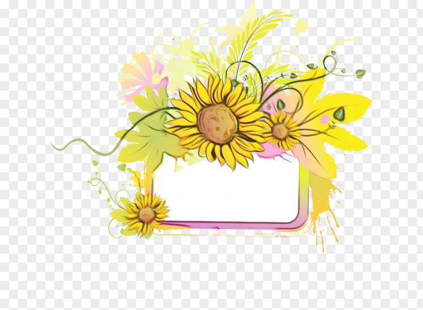 Daisy Family Flowers Background PNG