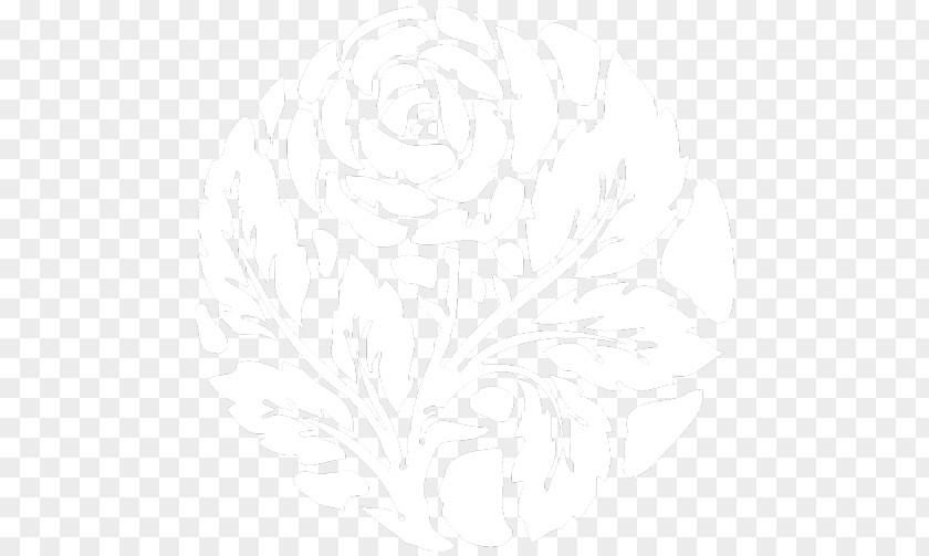 Design White Line Sketch PNG