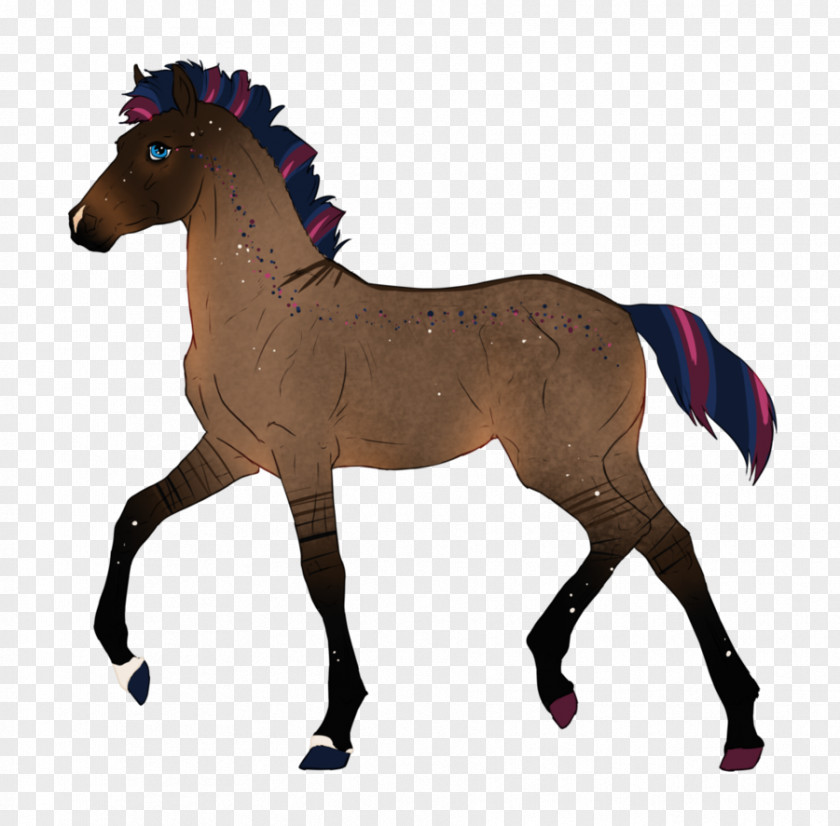 Mustang Foal BC548 Mare Art PNG