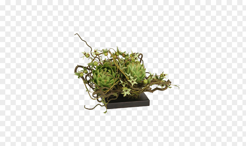 Potted Plant Decoration Stone Flower Vine Rao Flowerpot Houseplant PNG