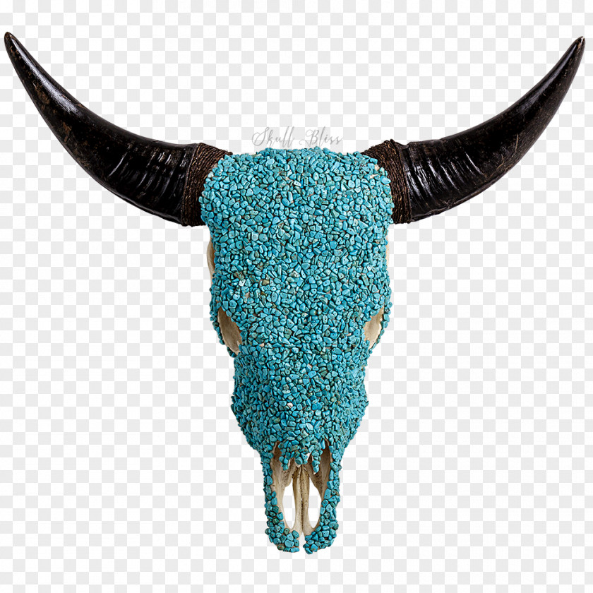 Skull Texas Longhorn Turquoise Gemstone PNG