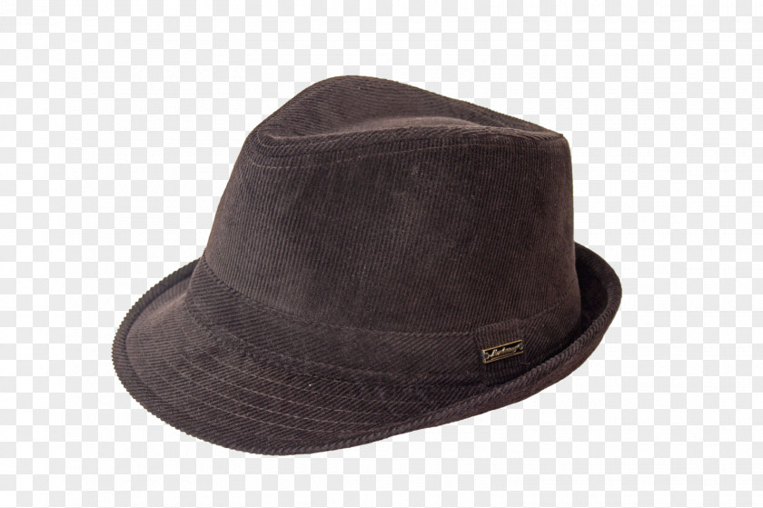 Sombrero Vueltiao Fedora PNG