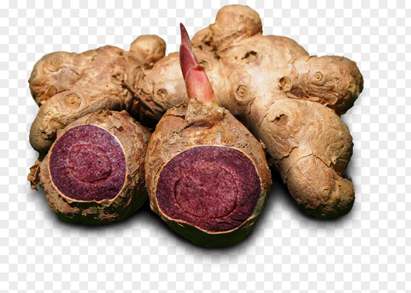 Ginger Kaempferia Parviflora Herb Fingerroot Dietary Supplement Family PNG