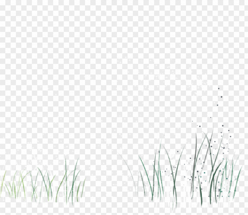 Green Grass White Black Pattern PNG