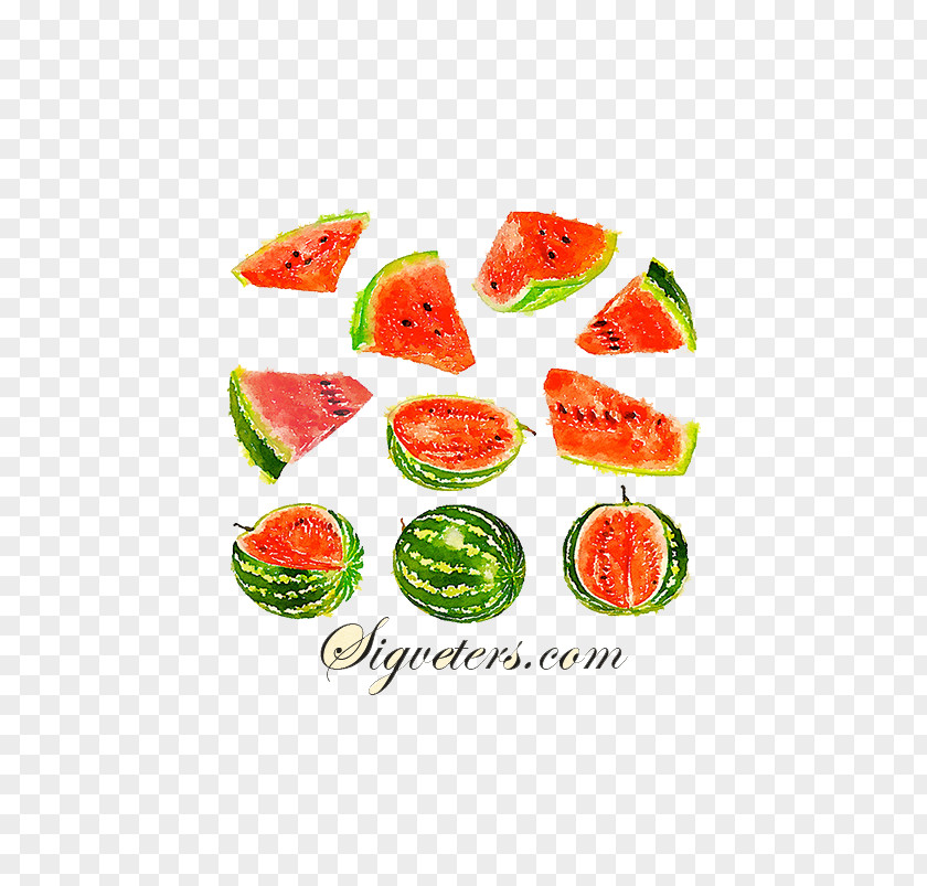 Juicy Watermelon Picture Material Watercolor Painting Auglis Illustration PNG