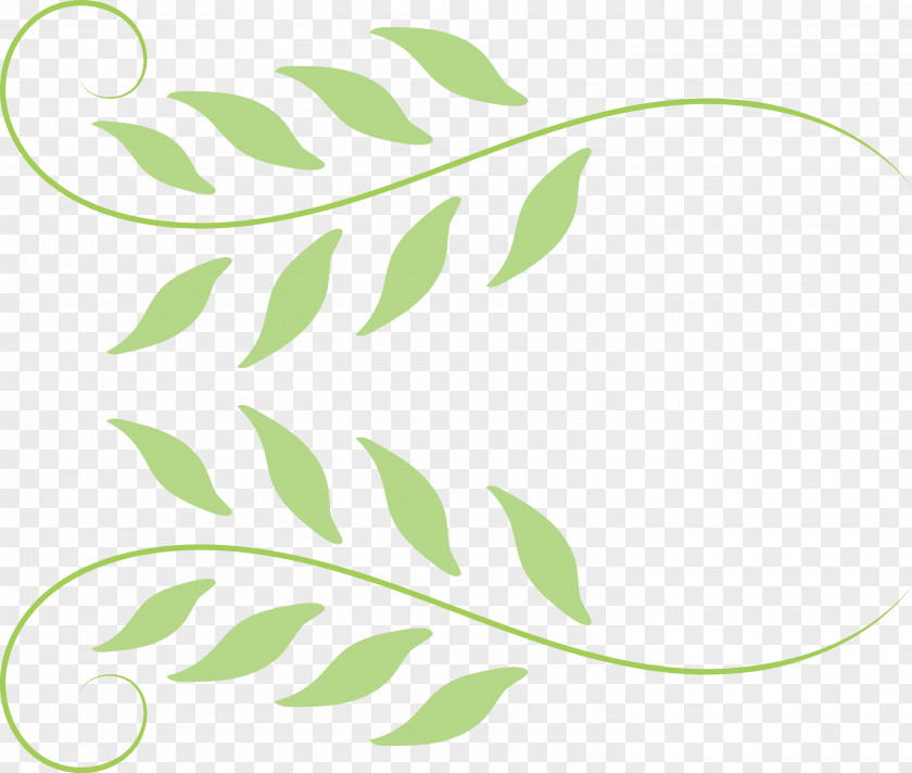 Leaf Plant Stem Logo M-tree Line PNG