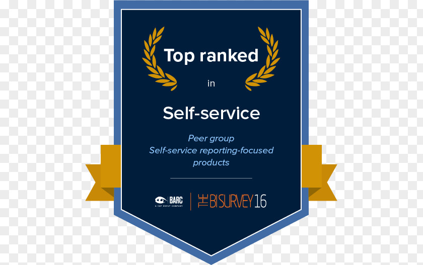 Self-service Logo Brand Peer Group Business Intelligence PNG