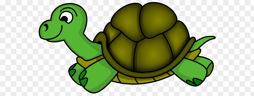 Turtle Cartoon Pics Old Sea Clip Art PNG