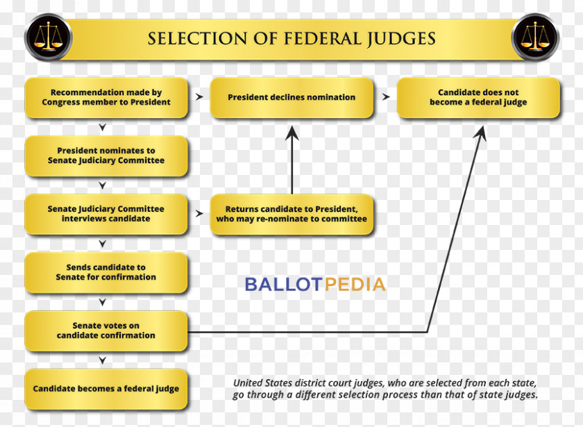 United States Federal Judge Court Judiciary PNG