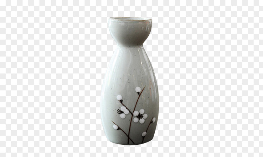 Ceramic Bottle Vase PNG