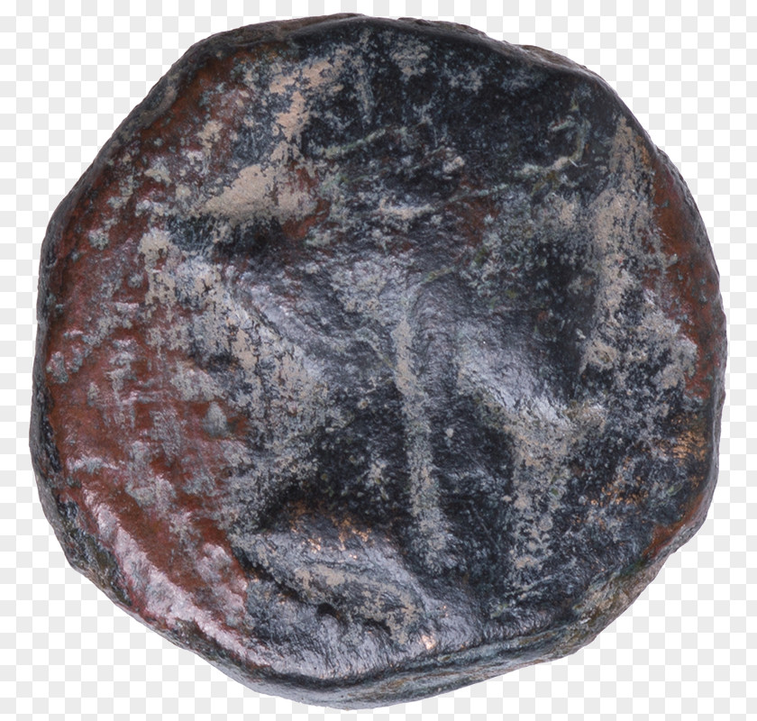 Coin Roman Emperor Berenice II Of Egypt Tiberius Antonia Minor PNG