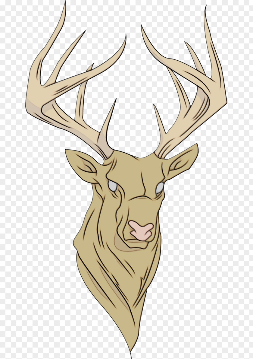 Drawing Wildlife Reindeer PNG