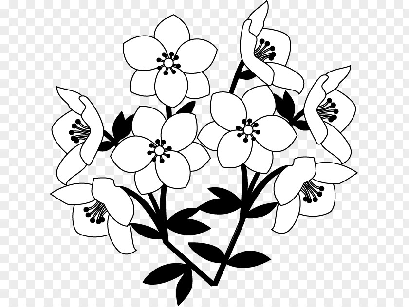 Hydrangea Vector Floral Design Petal Cut Flowers Leaf PNG