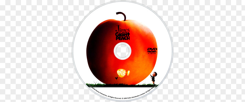 James And The Giant Peach Film Poster Matilda PNG
