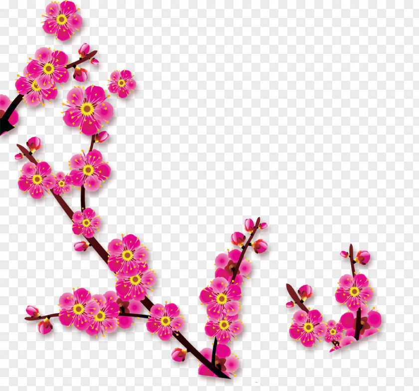 Plum Flower Download PNG