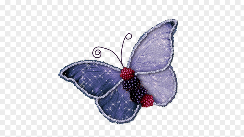 Blue Butterfly Animation PNG