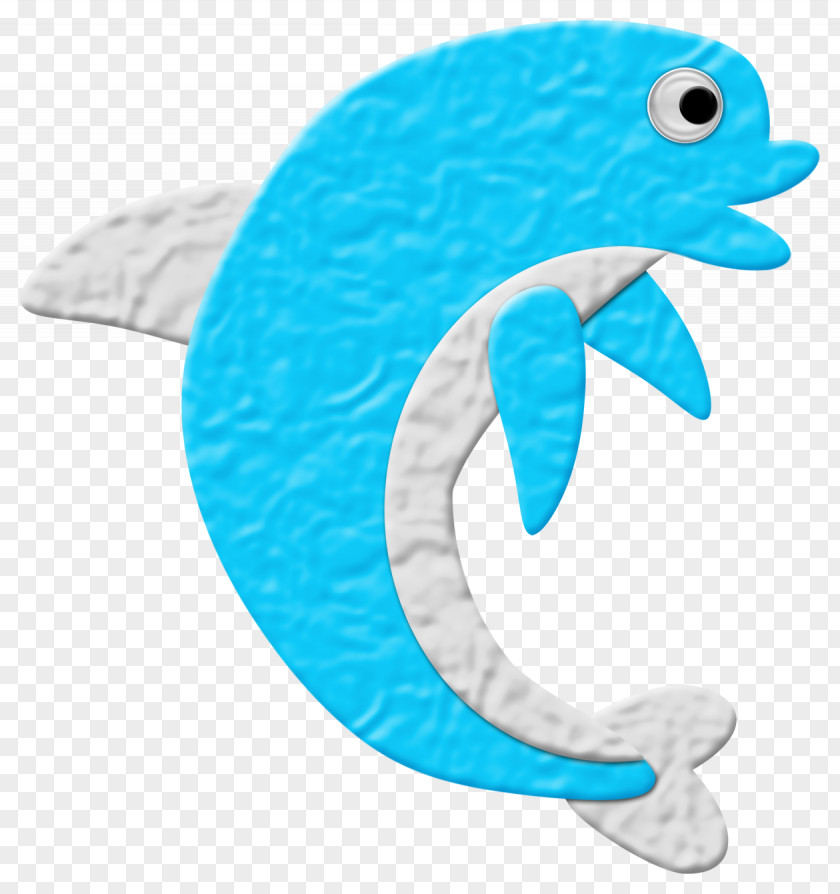 Dolphin Marine Biology Turquoise Fish PNG