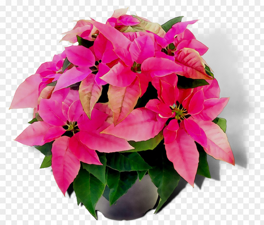 Floral Design Cut Flowers Pink M PNG
