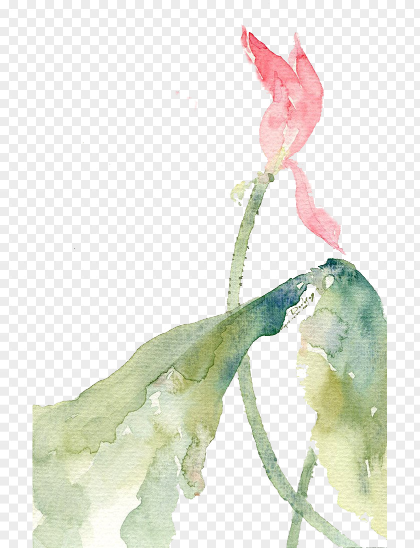 Lotus Watercolor Painting Art Creative Work Illustration PNG