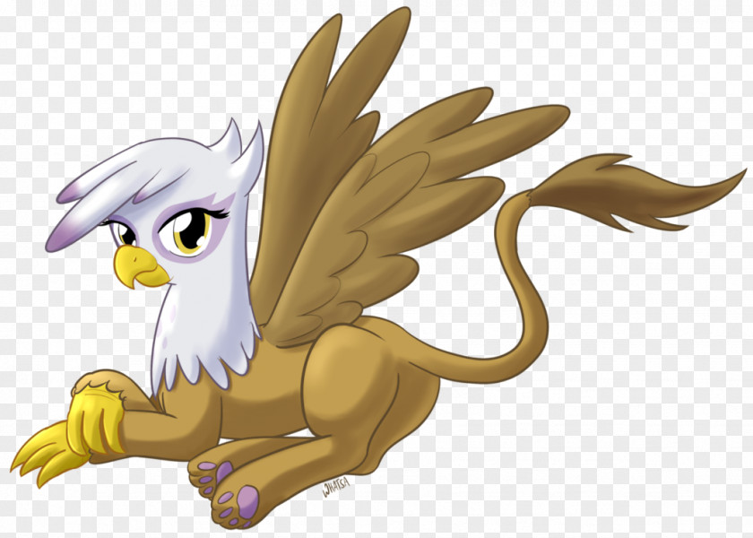 Owl Rainbow Dash Twilight Sparkle Pinkie Pie Rarity PNG