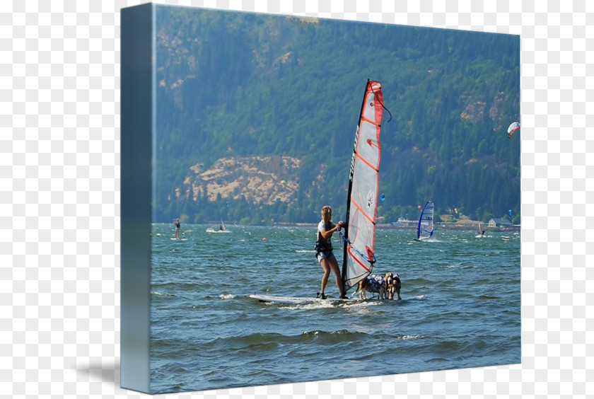 Sail Windsurfing Surfboard Leisure Vacation PNG