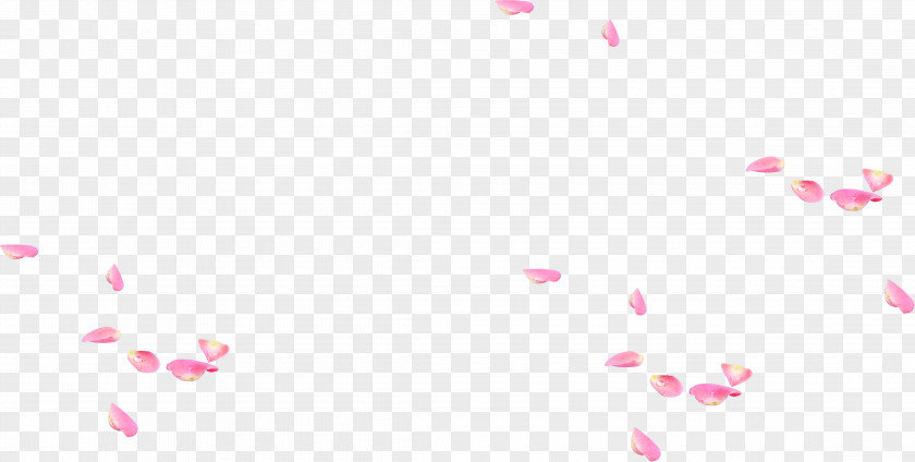 Beautiful Petals Falling Petal Pattern PNG