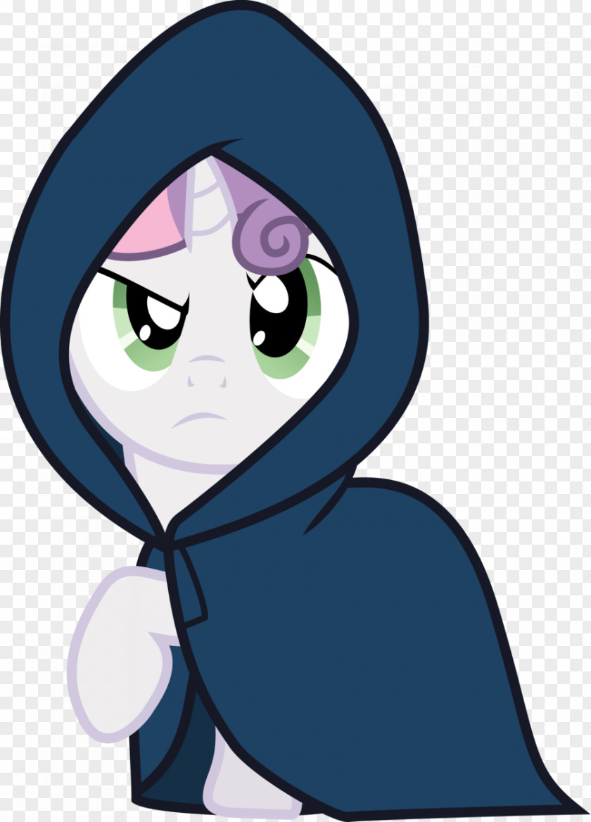 Cloak Rainbow Dash Twilight Sparkle Applejack Pinkie Pie PNG