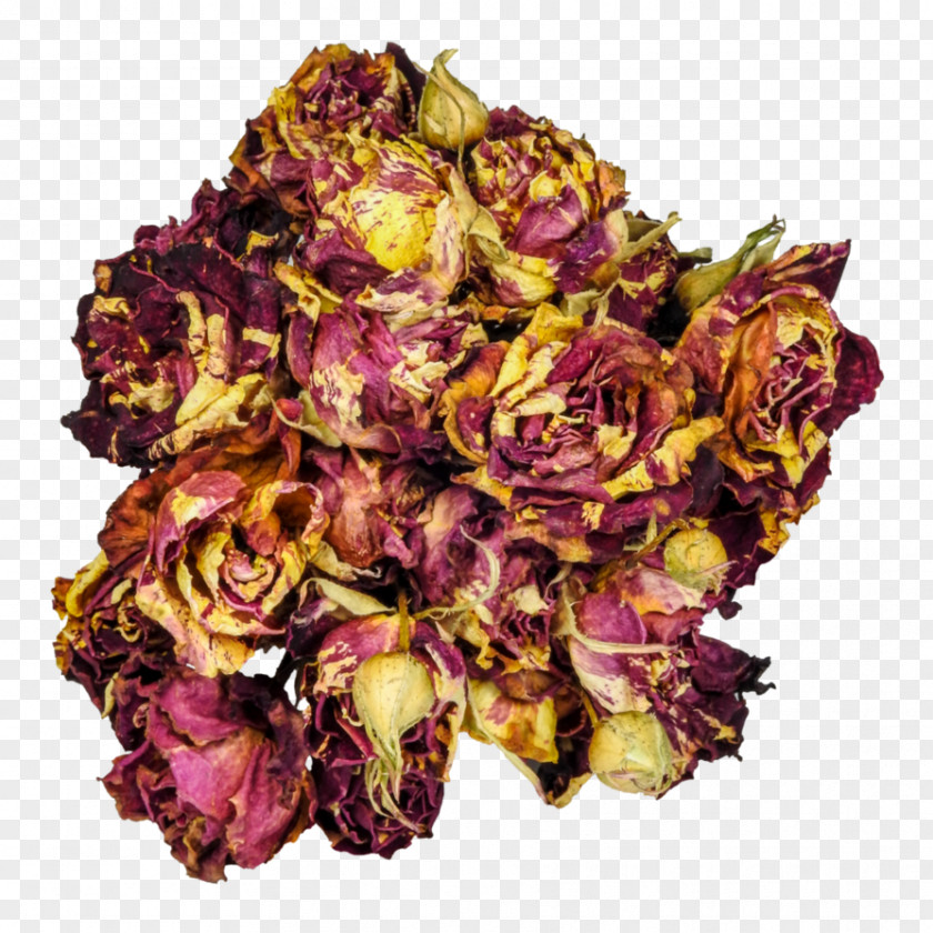 Dead Roses Garden Flower Bouquet Photograph Camera PNG