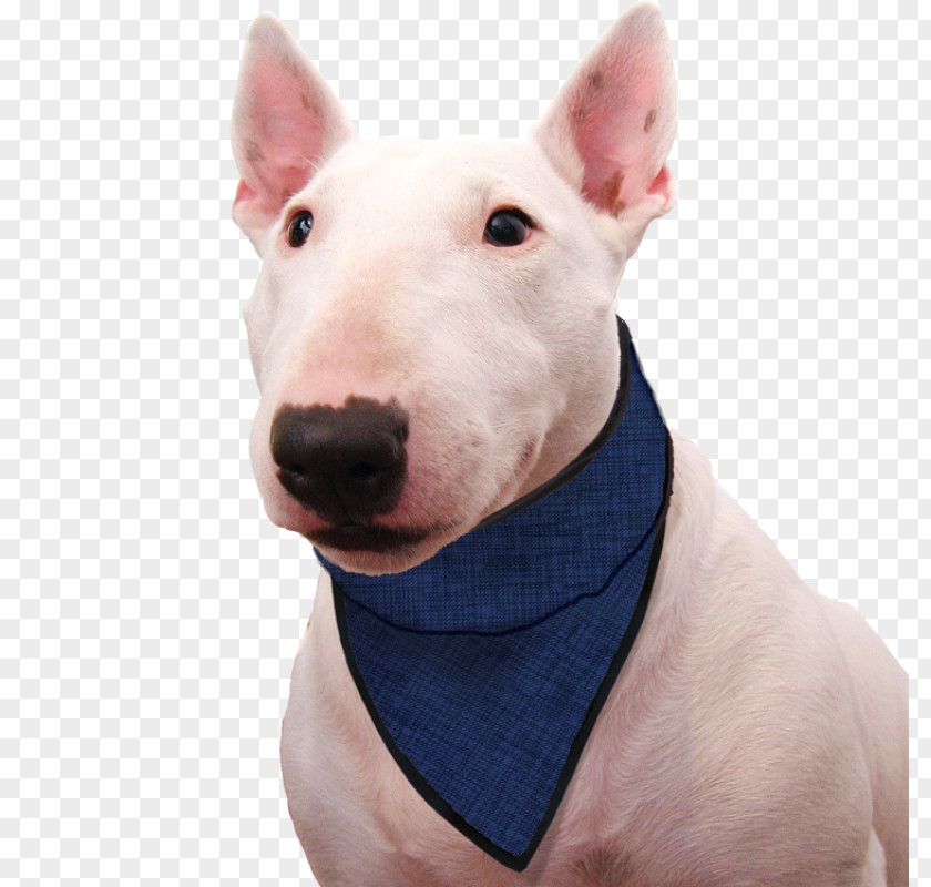 Dog Kerchief Scarf Clothing Collar PNG