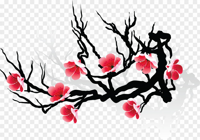 Japan Cherry Blossom Drawing Flower PNG