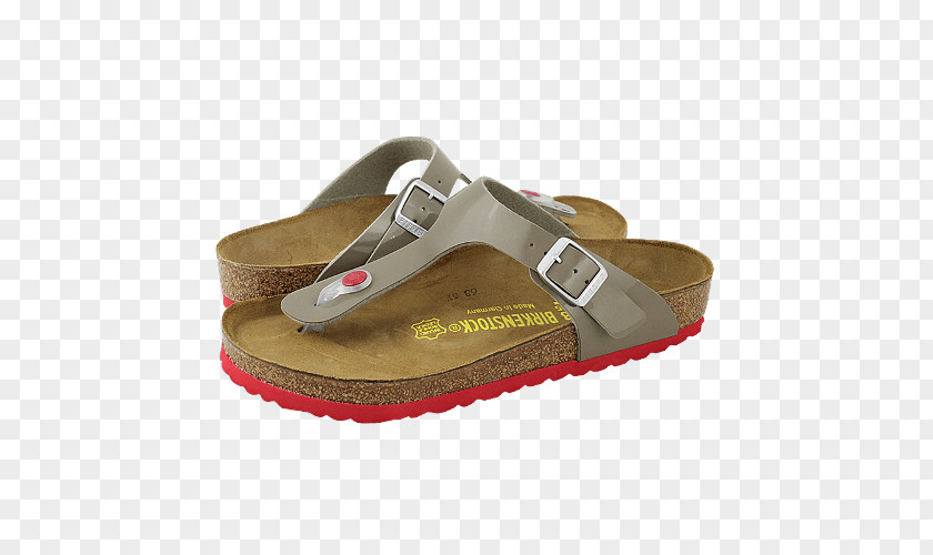 Sandal Slide Shoe Walking PNG