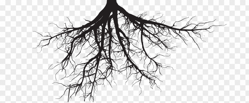 Tree Clip Art Root Illustration PNG