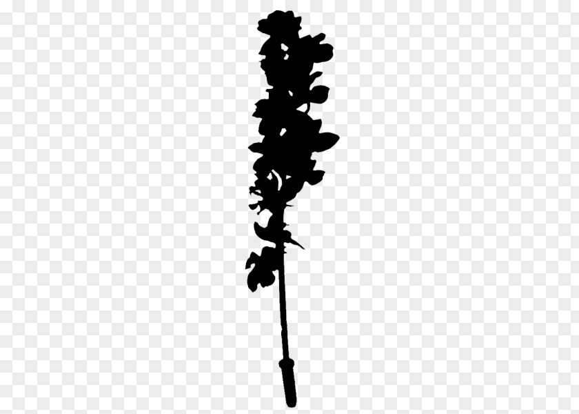 Twig Plant Stem Flower Leaf Font PNG