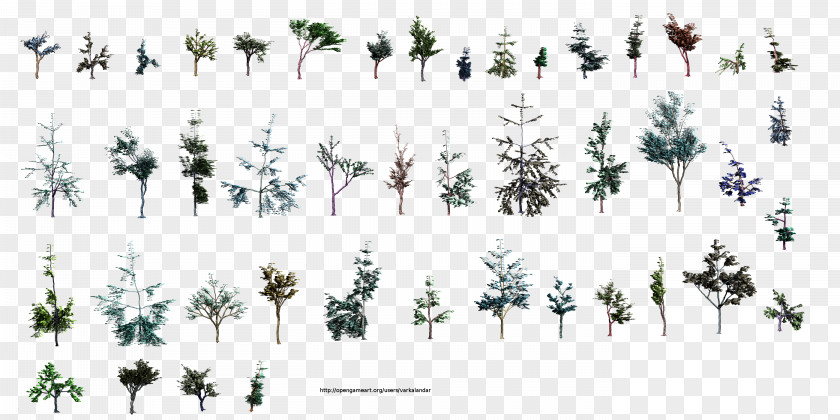 VIEW Tree Plant Branch Pine PNG