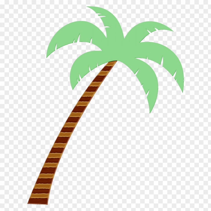 Woody Plant Palm Tree PNG