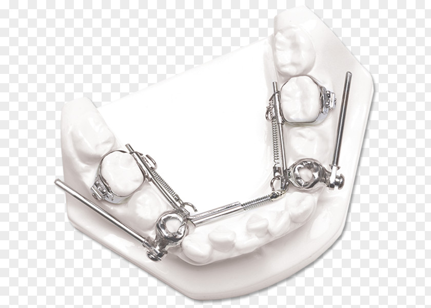 Jewellery Silver Maxilla PNG