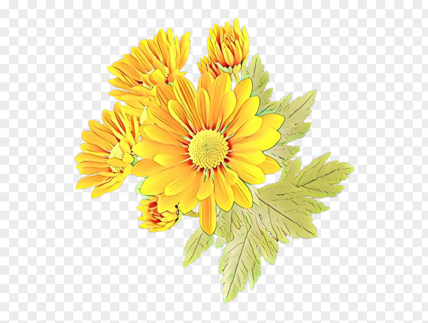 Petal English Marigold Flower Flowering Plant Gerbera Yellow Barberton Daisy PNG
