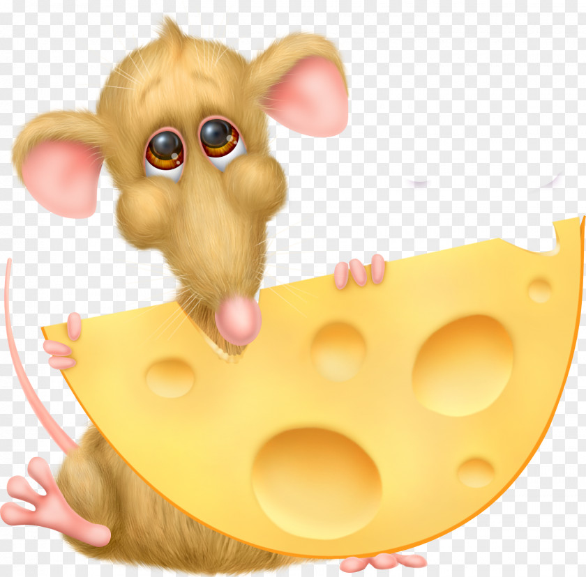 Rat Cheese Clip Art PNG
